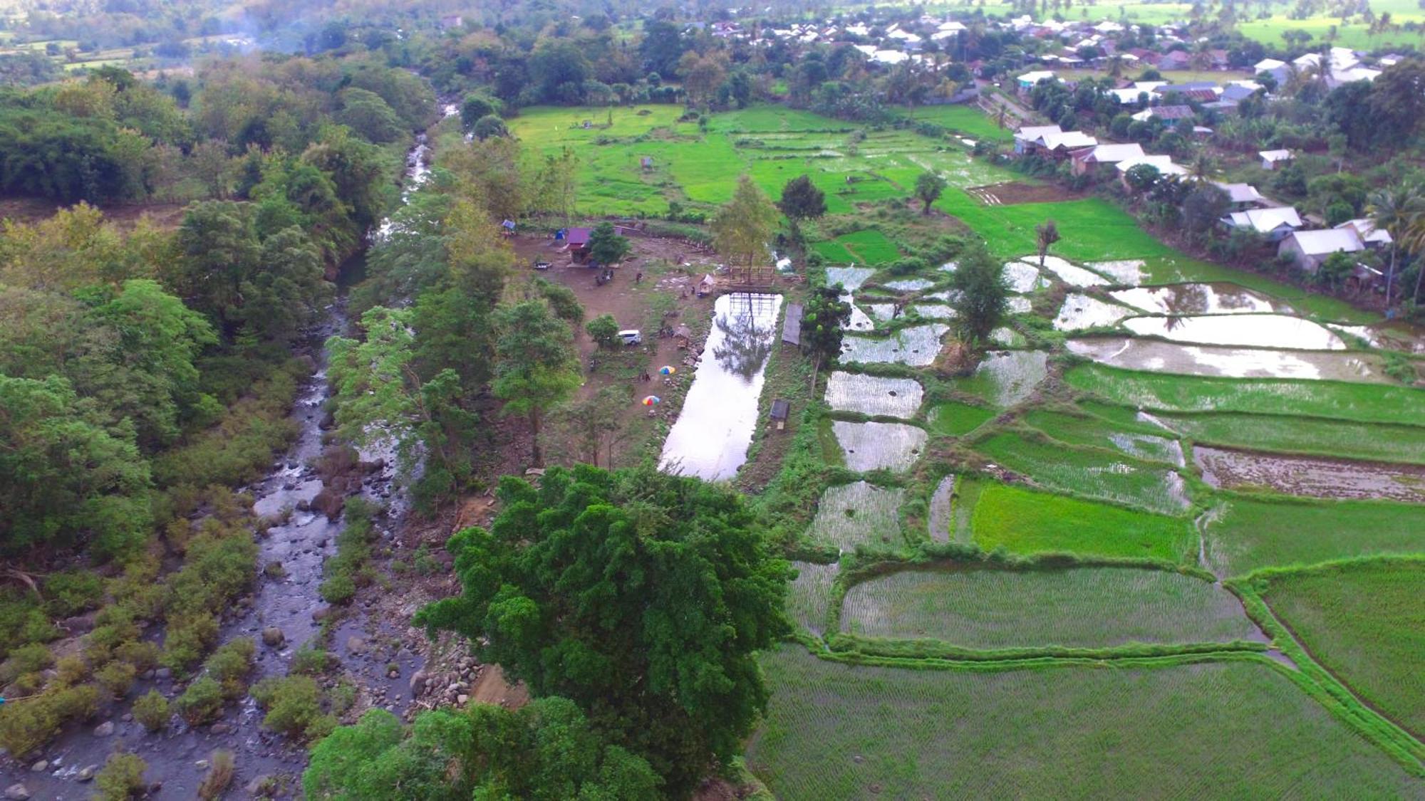 Tiu Batu Homestay Alas 외부 사진