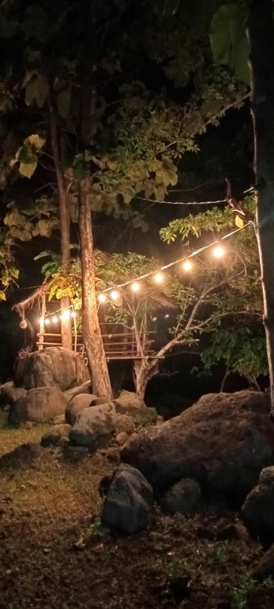 Tiu Batu Homestay Alas 외부 사진